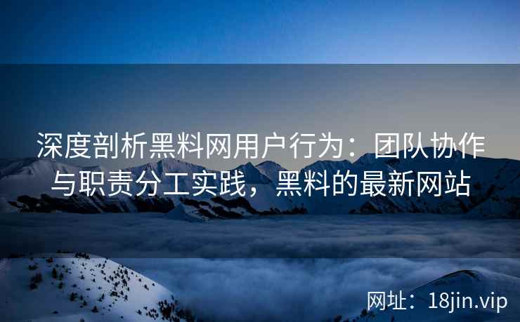 深度剖析黑料网用户行为：团队协作与职责分工实践，黑料的最新网站