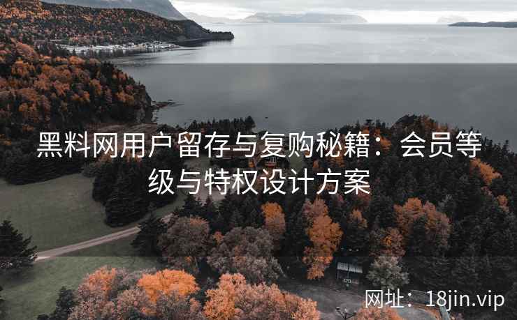 黑料网用户留存与复购秘籍：会员等级与特权设计方案